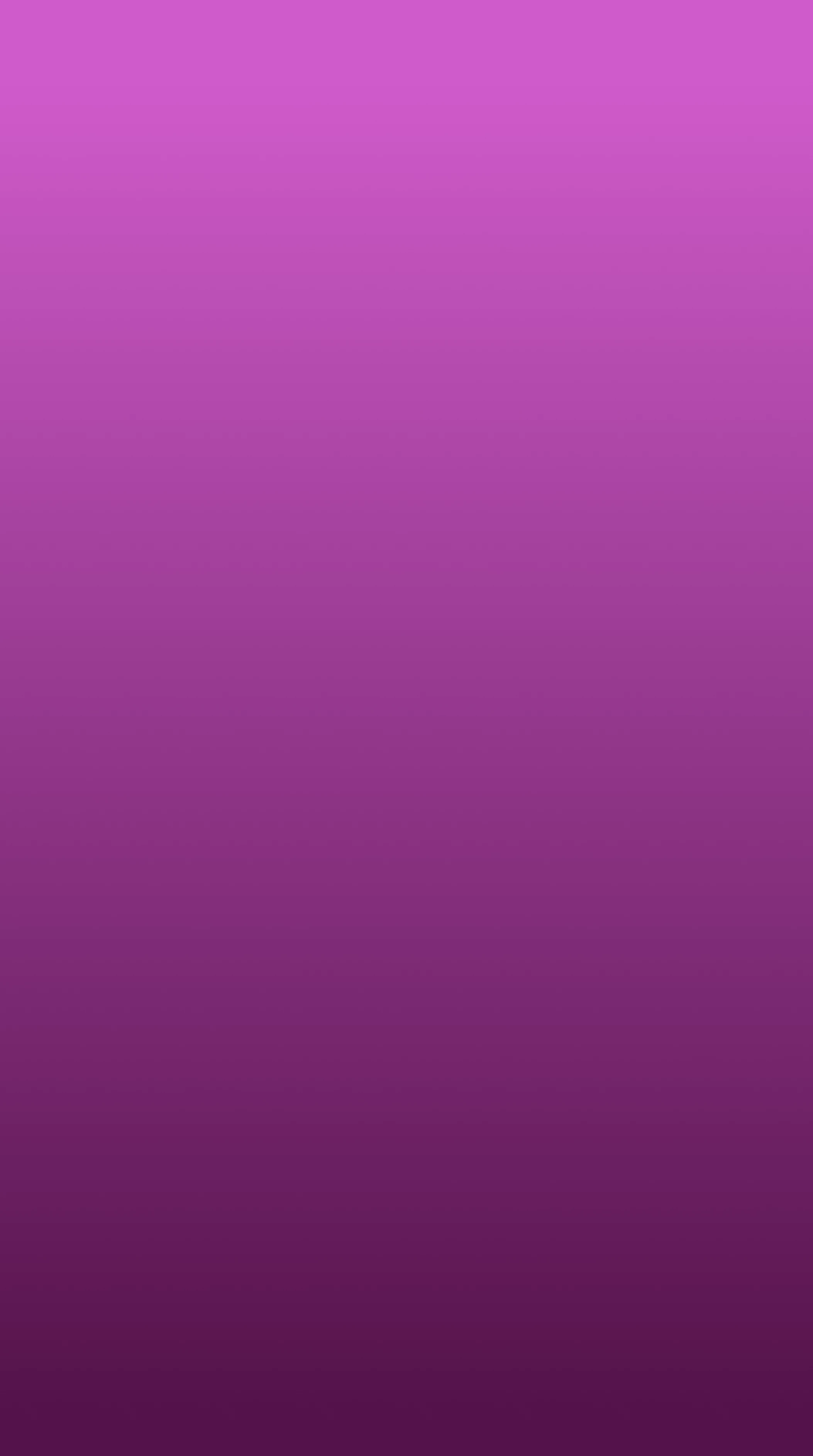 r3344-cover-1-17912089960768.png