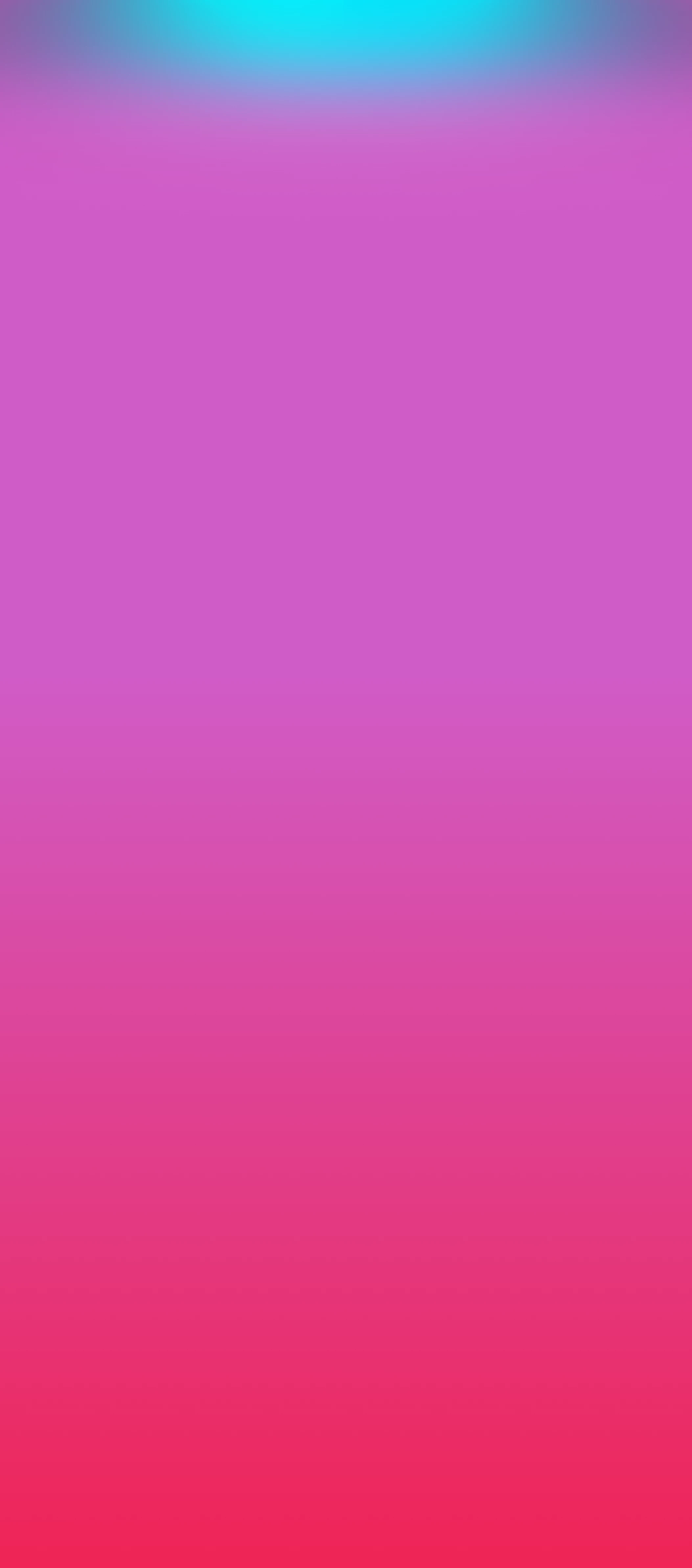 r5583-cover-33-17751241760594.png